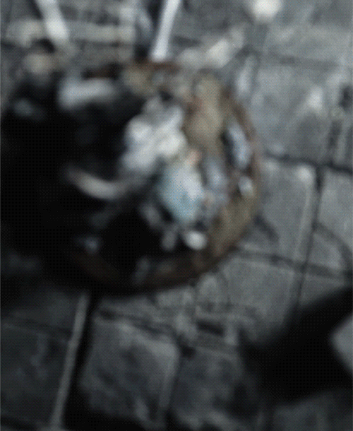 I'm Lost in the Labyrinth I Built.