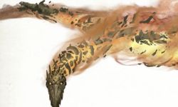 Colossus of the Drylands: The Sky Skimmer