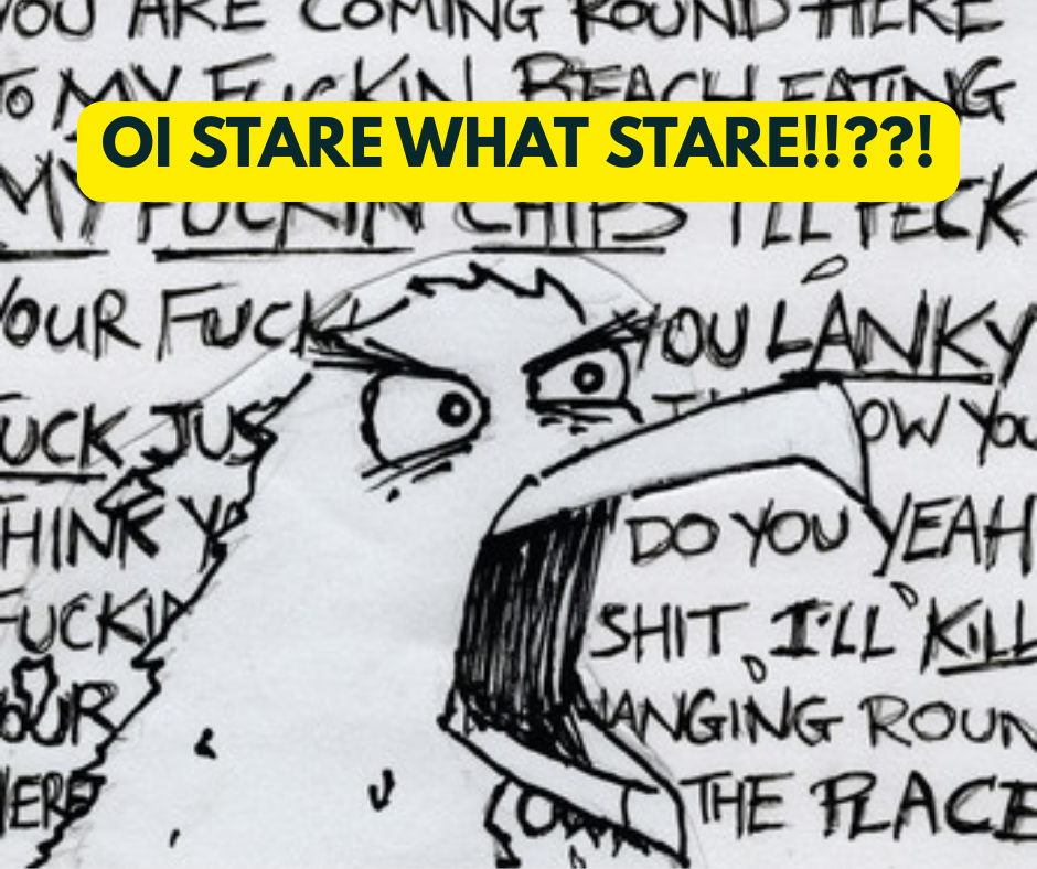 Oi Stare What Stare