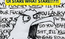 Oi Stare What Stare