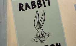 It’s Wabbit Season!